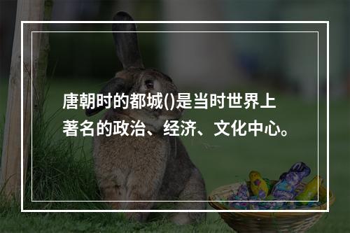 唐朝时的都城()是当时世界上著名的政治、经济、文化中心。