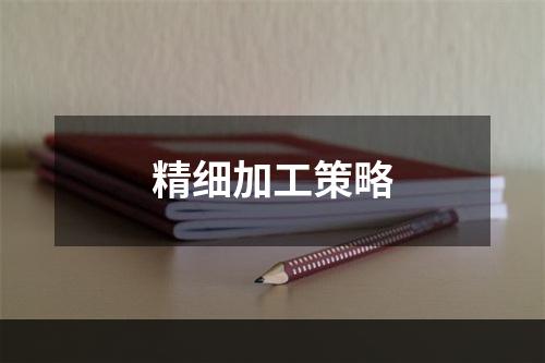 精细加工策略