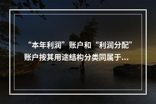 “本年利润”账户和“利润分配”账户按其用途结构分类同属于一个