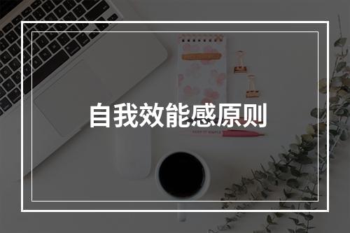 自我效能感原则