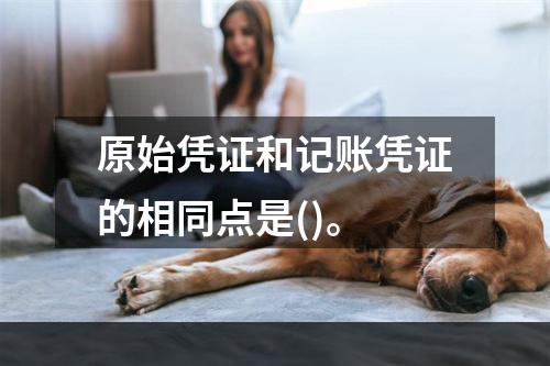 原始凭证和记账凭证的相同点是()。