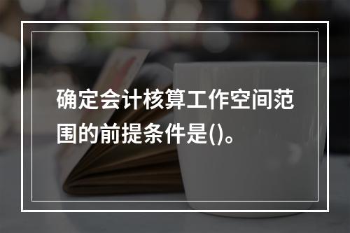 确定会计核算工作空间范围的前提条件是()。