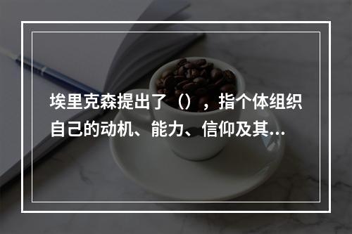 埃里克森提出了（），指个体组织自己的动机、能力、信仰及其活动