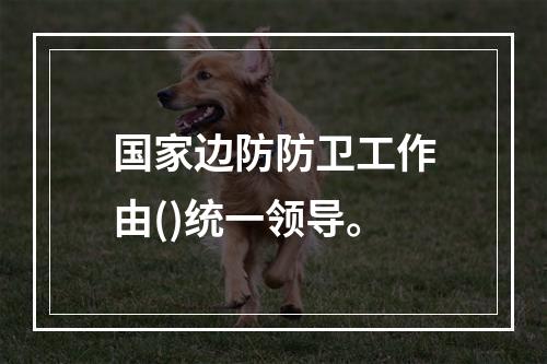 国家边防防卫工作由()统一领导。