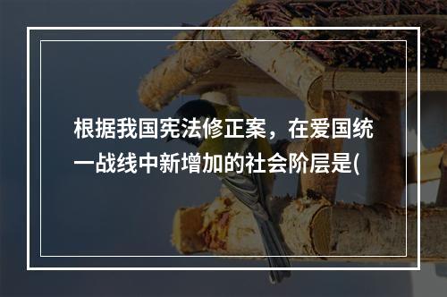 根据我国宪法修正案，在爱国统一战线中新增加的社会阶层是(