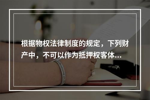 根据物权法律制度的规定，下列财产中，不可以作为抵押权客体的是