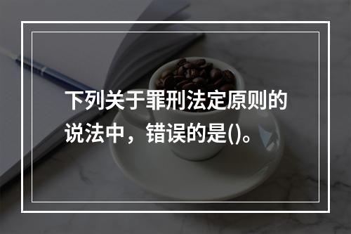 下列关于罪刑法定原则的说法中，错误的是()。