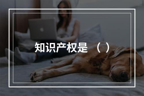 知识产权是 （  ）