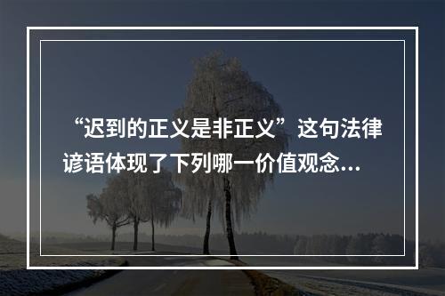 “迟到的正义是非正义”这句法律谚语体现了下列哪一价值观念？(