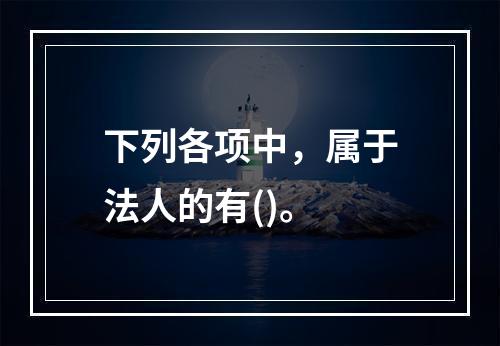 下列各项中，属于法人的有()。