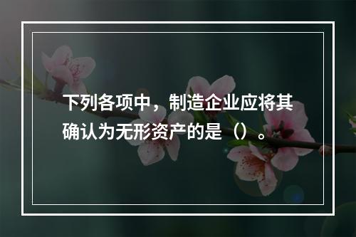 下列各项中，制造企业应将其确认为无形资产的是（）。