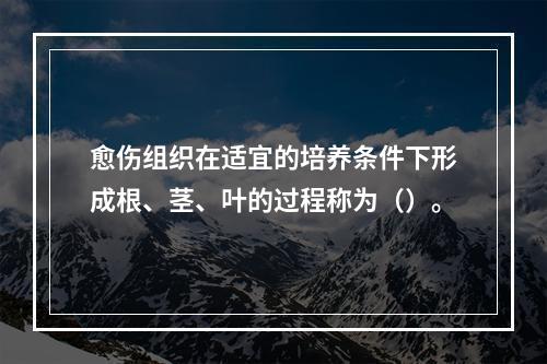 愈伤组织在适宜的培养条件下形成根、茎、叶的过程称为（）。