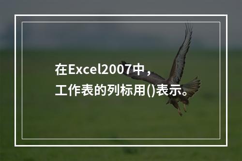 在Excel2007中，工作表的列标用()表示。