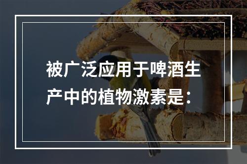 被广泛应用于啤酒生产中的植物激素是：