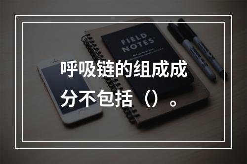 呼吸链的组成成分不包括（）。