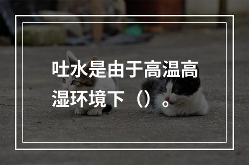 吐水是由于高温高湿环境下（）。