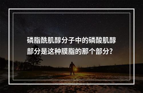 磷脂酰肌醇分子中的磷酸肌醇部分是这种膜脂的那个部分？