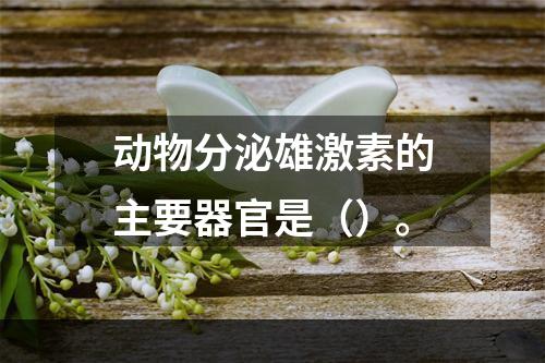 动物分泌雄激素的主要器官是（）。