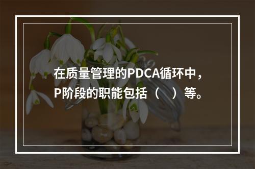 在质量管理的PDCA循环中，P阶段的职能包括（　）等。