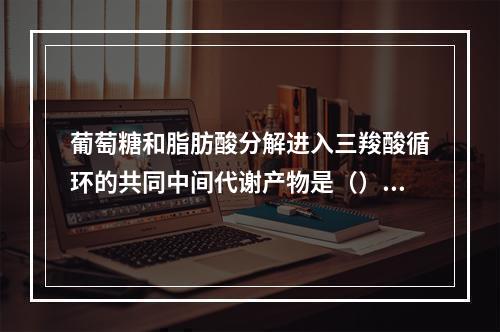 葡萄糖和脂肪酸分解进入三羧酸循环的共同中间代谢产物是（）。