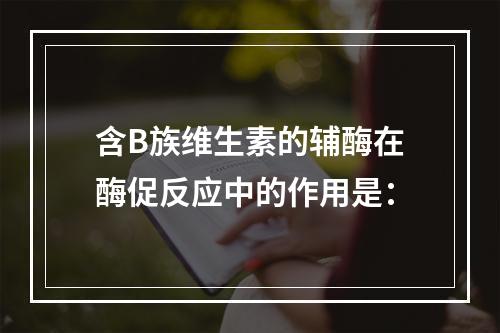 含B族维生素的辅酶在酶促反应中的作用是：