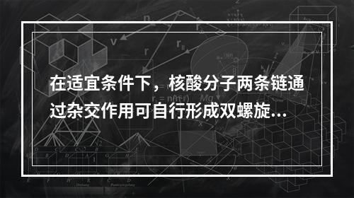 在适宜条件下，核酸分子两条链通过杂交作用可自行形成双螺旋，取