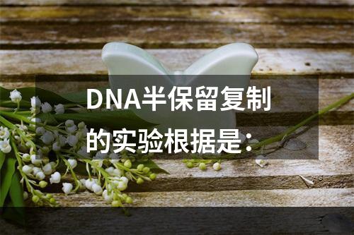 DNA半保留复制的实验根据是：