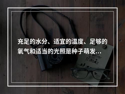 充足的水分、适宜的温度、足够的氧气和适当的光照是种子萌发的必