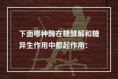 下面哪种酶在糖酵解和糖异生作用中都起作用：