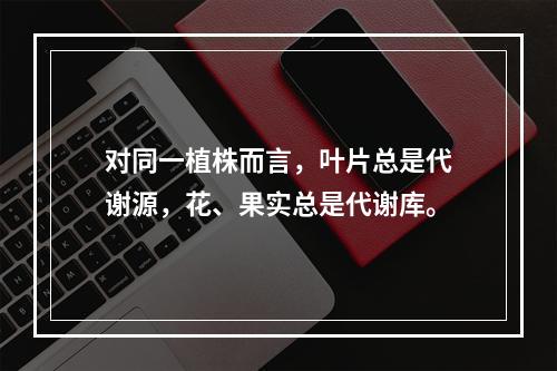 对同一植株而言，叶片总是代谢源，花、果实总是代谢库。