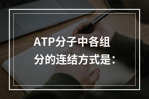 ATP分子中各组分的连结方式是：