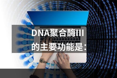 DNA聚合酶Ⅲ的主要功能是：