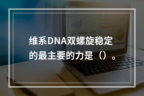 维系DNA双螺旋稳定的最主要的力是（）。