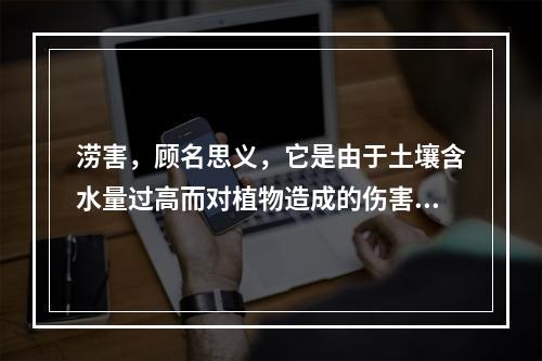 涝害，顾名思义，它是由于土壤含水量过高而对植物造成的伤害。