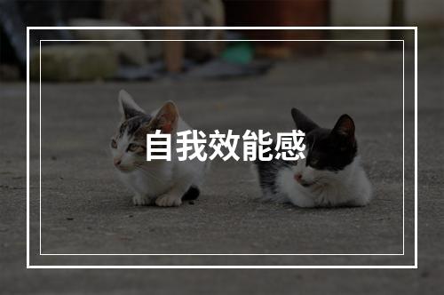 自我效能感