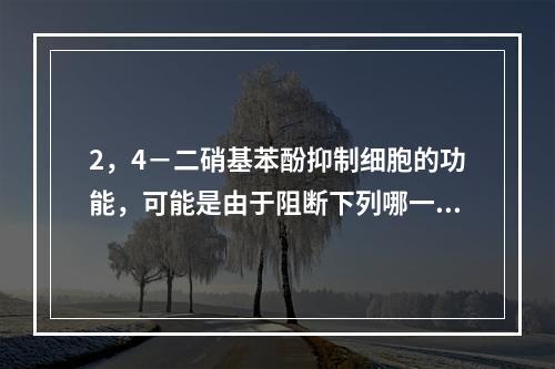 2，4－二硝基苯酚抑制细胞的功能，可能是由于阻断下列哪一种生