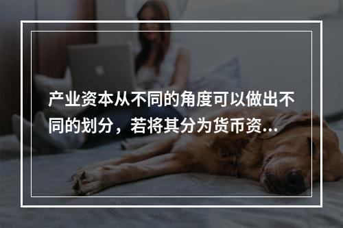 产业资本从不同的角度可以做出不同的划分，若将其分为货币资本、