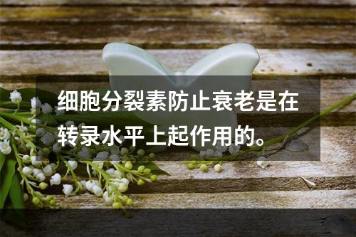 细胞分裂素防止衰老是在转录水平上起作用的。