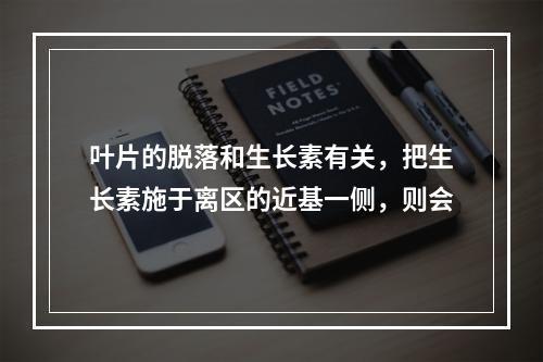 叶片的脱落和生长素有关，把生长素施于离区的近基一侧，则会