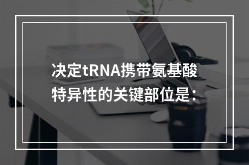 决定tRNA携带氨基酸特异性的关键部位是：