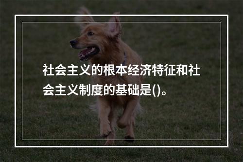 社会主义的根本经济特征和社会主义制度的基础是()。