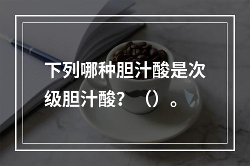 下列哪种胆汁酸是次级胆汁酸？（）。