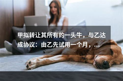 甲拟转让其所有的一头牛，与乙达成协议：由乙先试用一个月，满意