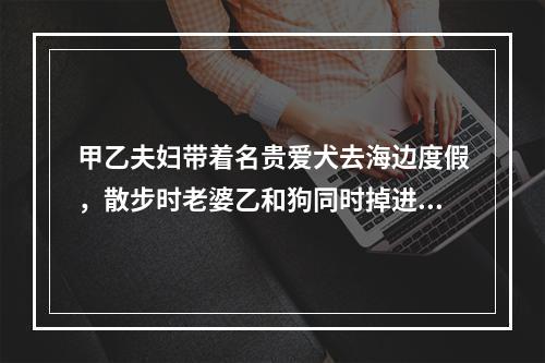 甲乙夫妇带着名贵爱犬去海边度假，散步时老婆乙和狗同时掉进海里