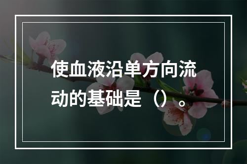 使血液沿单方向流动的基础是（）。