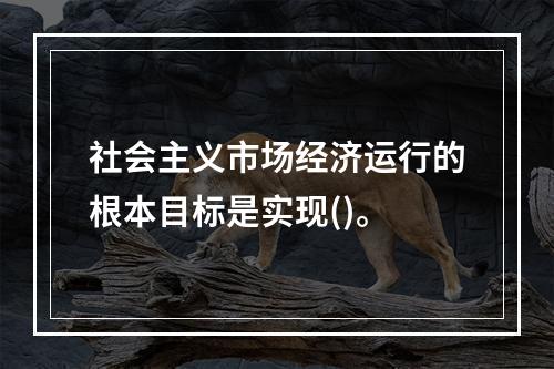 社会主义市场经济运行的根本目标是实现()。