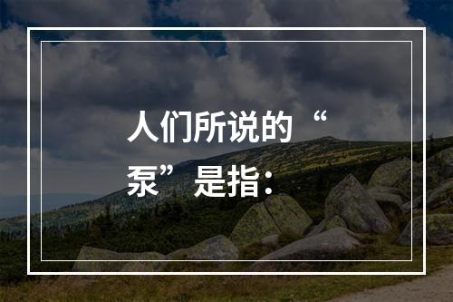 人们所说的“泵”是指：