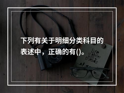 下列有关于明细分类科目的表述中，正确的有()。