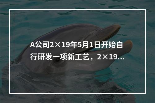 A公司2×19年5月1日开始自行研发一项新工艺，2×19年5