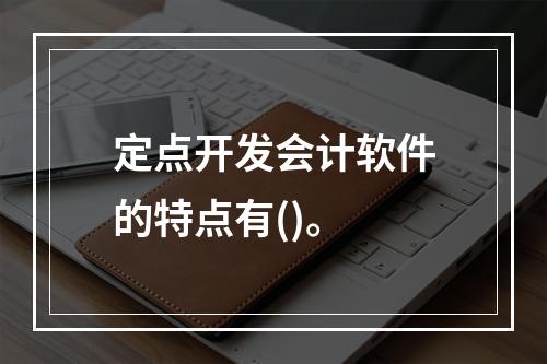 定点开发会计软件的特点有()。